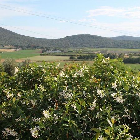 Agriturismo Podere Montenero Alberese Exteriér fotografie