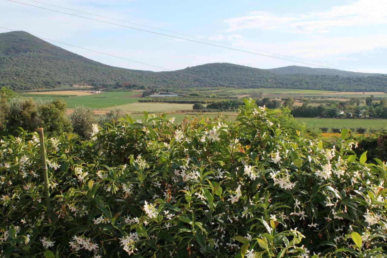 Agriturismo Podere Montenero Alberese Exteriér fotografie